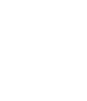 Limitless Automation Company Eagle